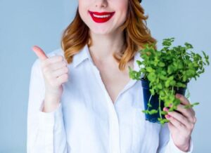 consumir orégano es beneficioso